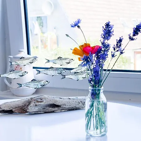 Appartement Budget Luettje Koje Whg 1